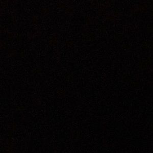 Meet your Posher, Benjamin